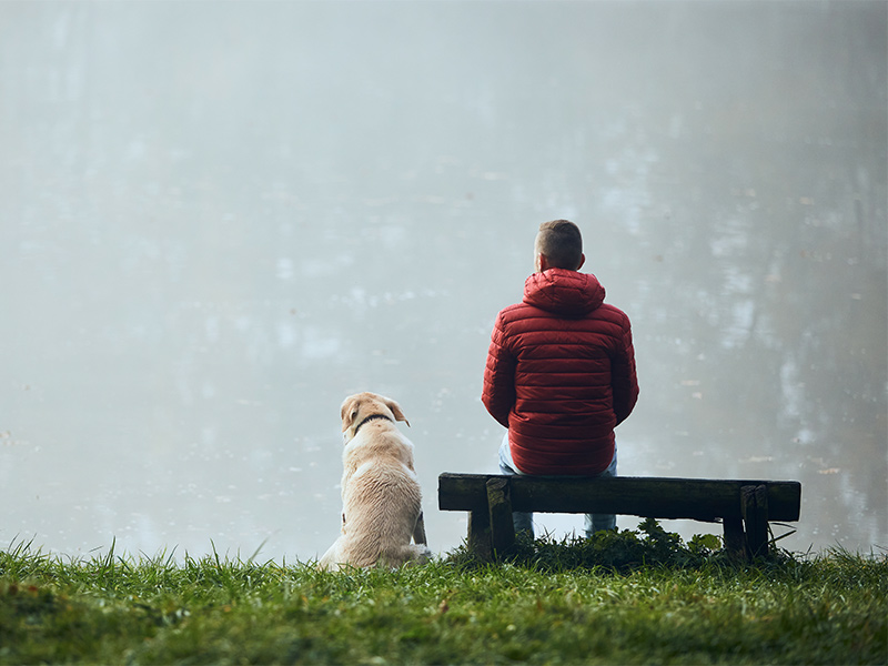 rear view of man sitting on bench beside his dog income strategy for retirement